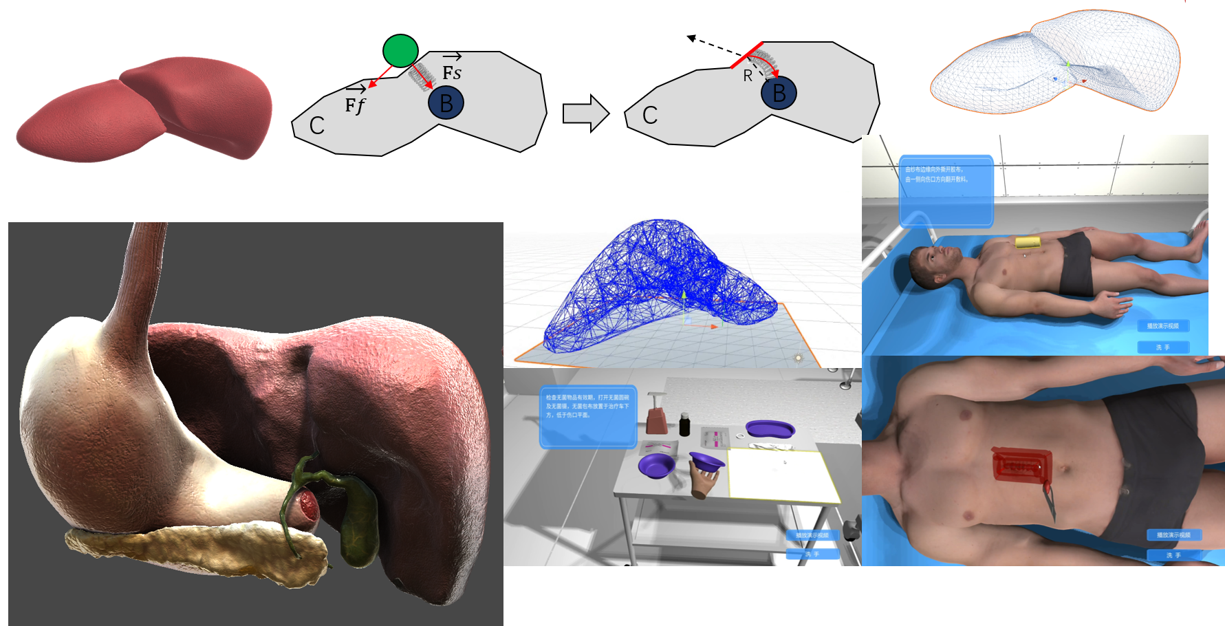 触觉与物理仿真展示